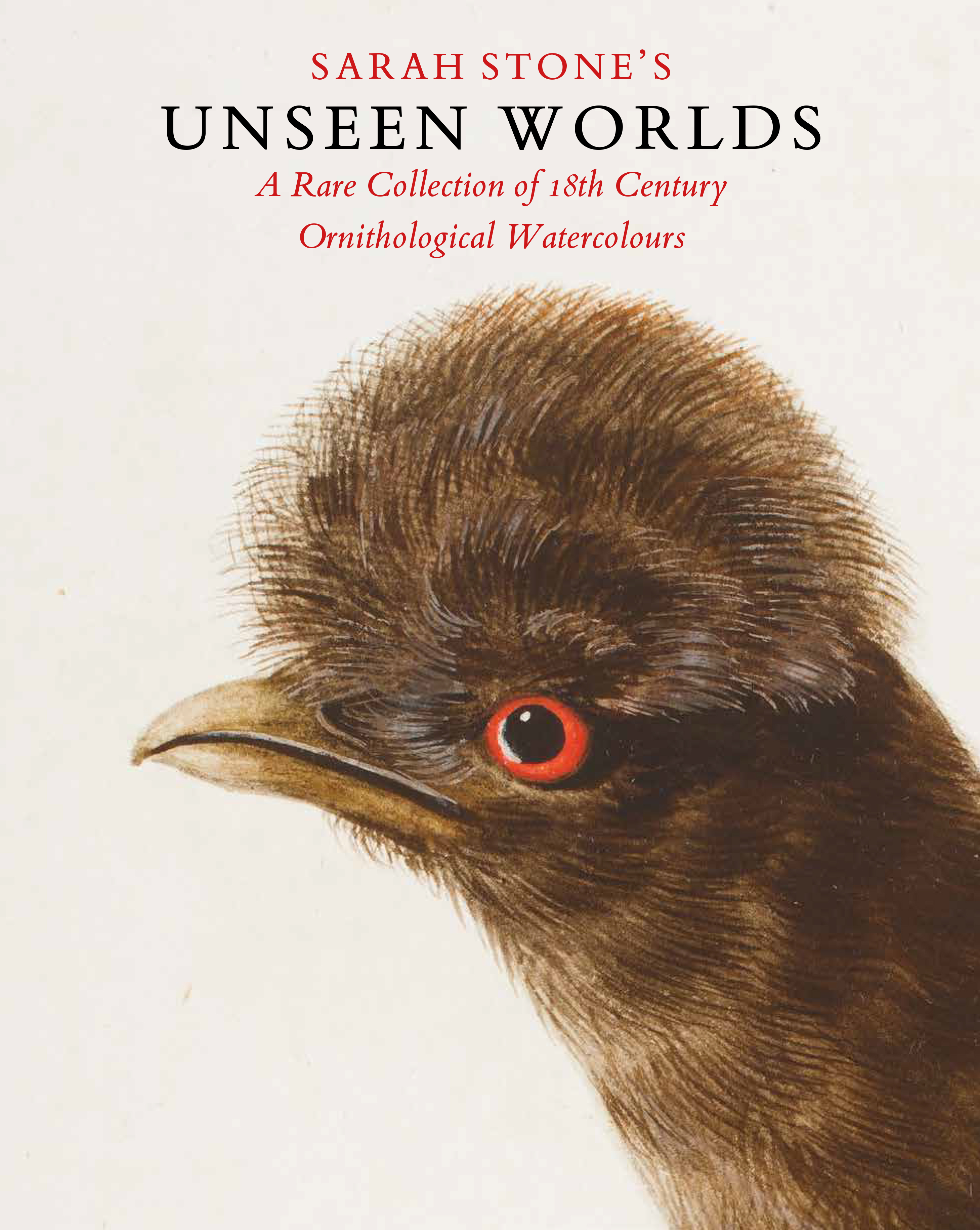 Sarah Stone's Unseen Worlds 